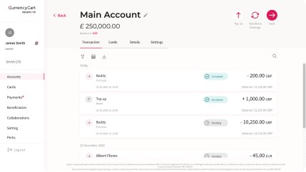 Multi Currency Online Bank Account