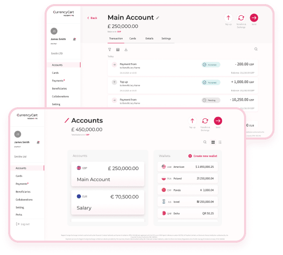 Multi Currency Payment Account